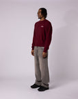 ROTES 6-SCHNEEKREUZ-STRICKJACKE