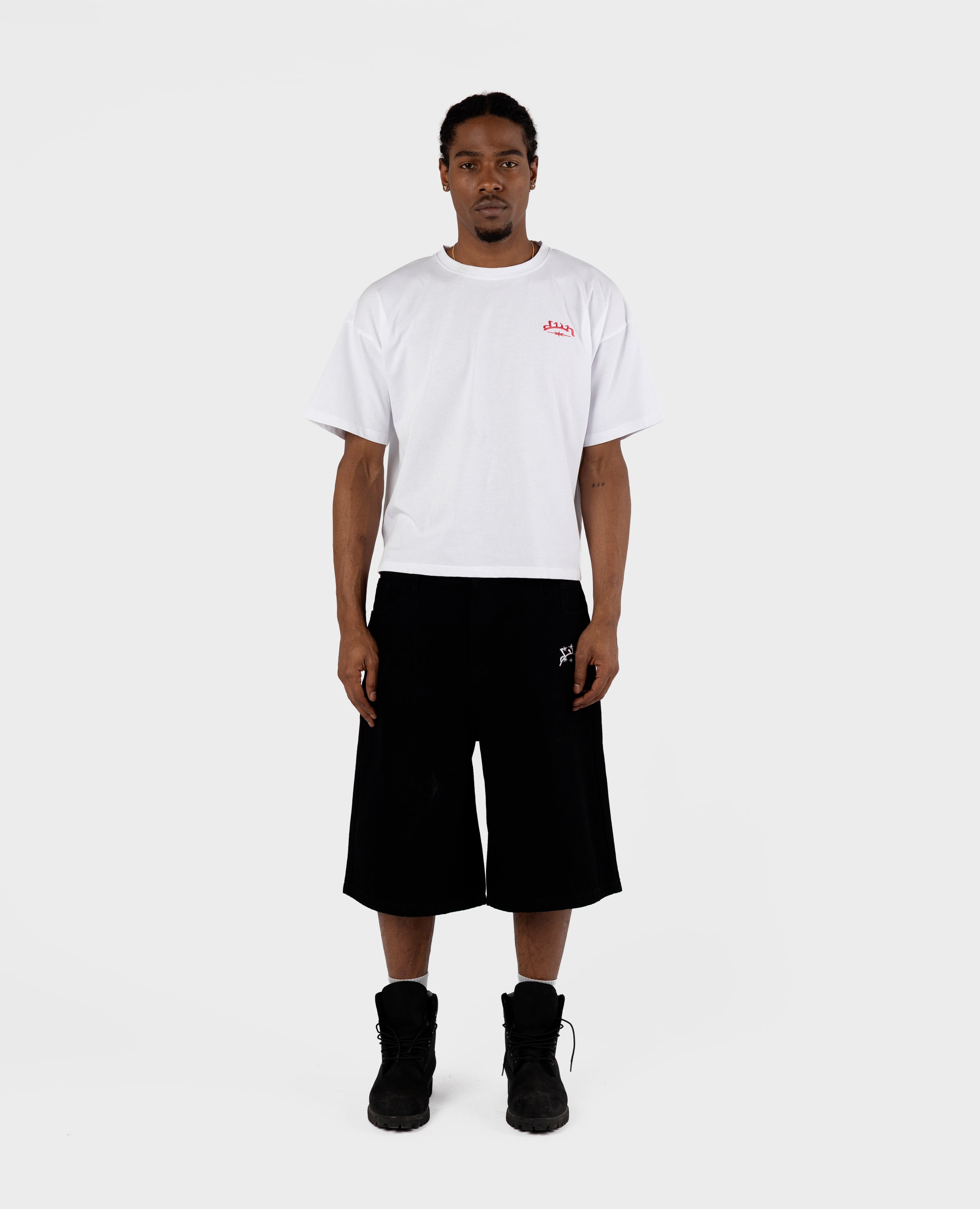 DAS SIX STARS T-SHIRT - BLUT