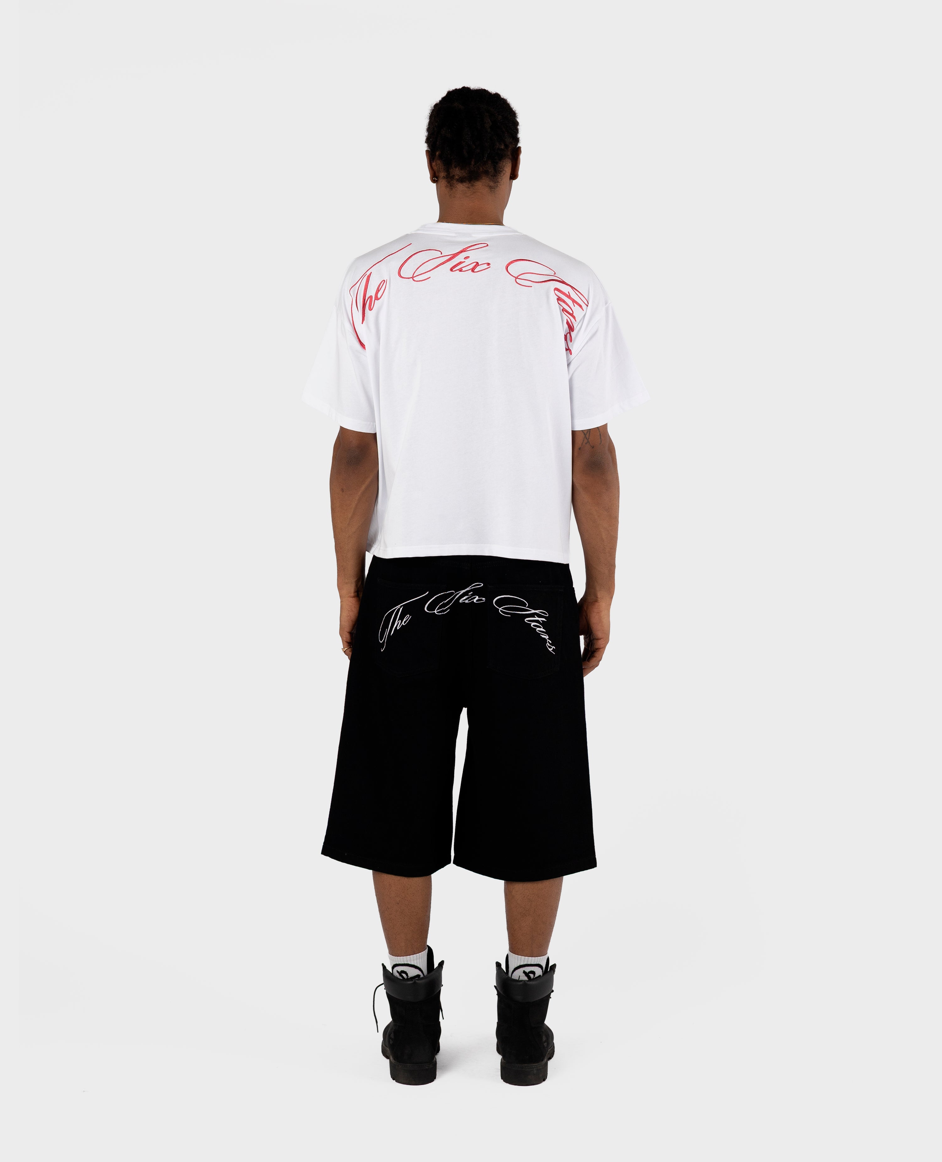 DAS SIX STARS T-SHIRT - BLUT