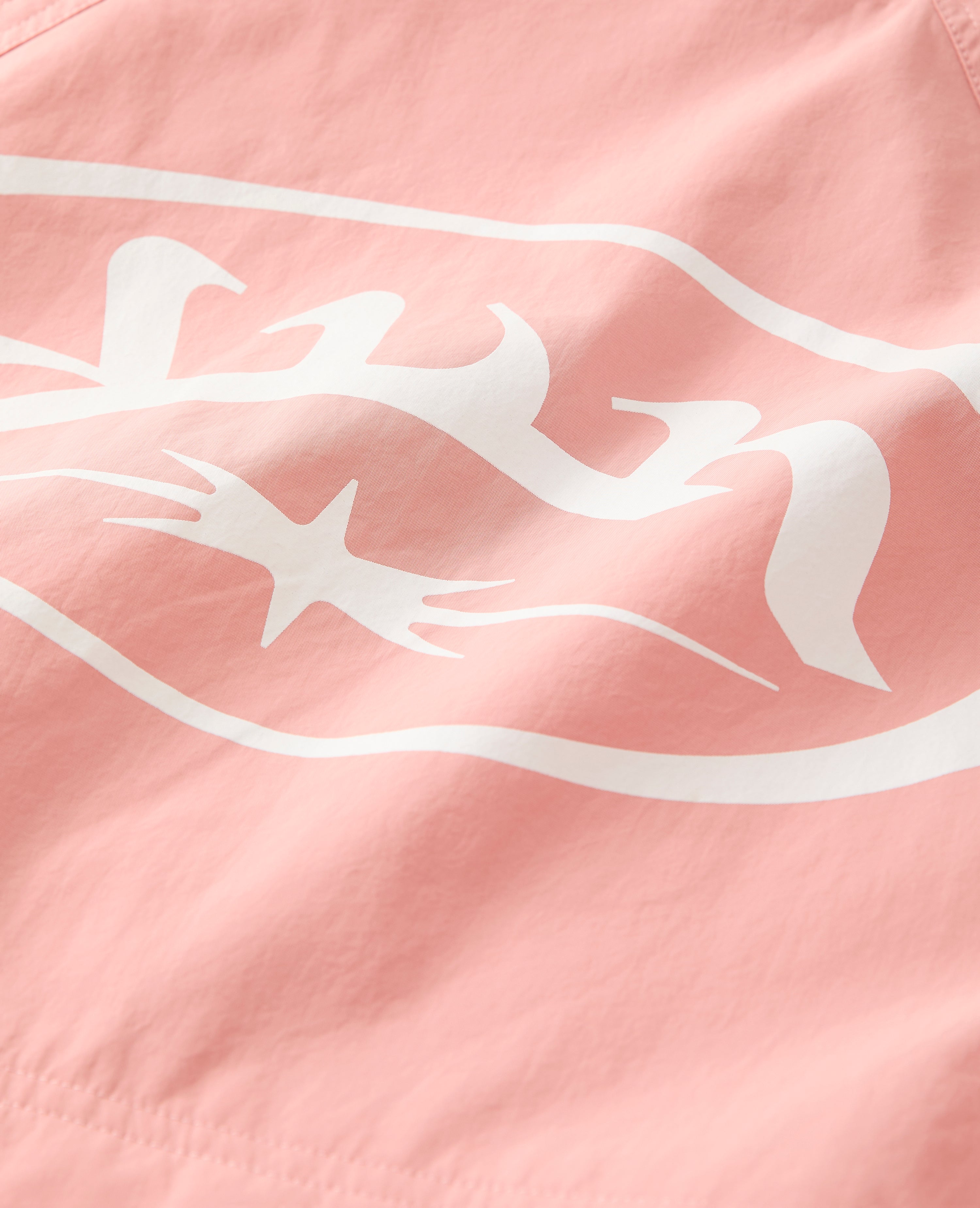 PINK STORMCHASSER