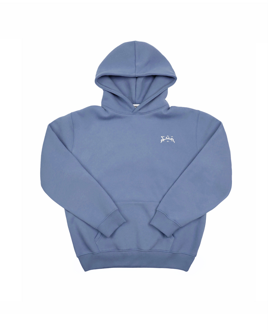 CURB PURPLE HOODIE